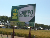 campo experimental